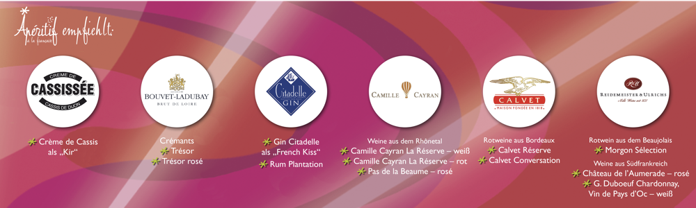 spxa_apf9_deckenhänger